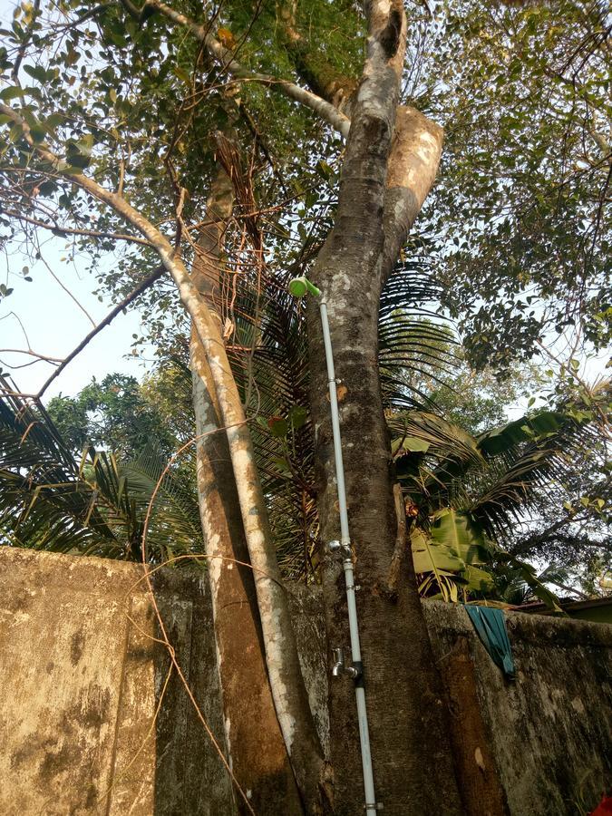 Agape Marari * Mararikulam
